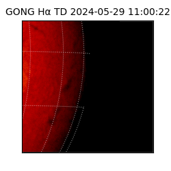 gong - 2024-05-29T11:00:22