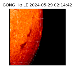 gong - 2024-05-29T02:14:42