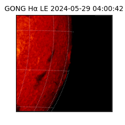 gong - 2024-05-29T04:00:42