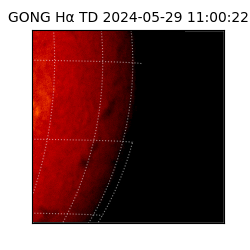 gong - 2024-05-29T11:00:22