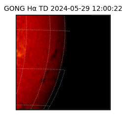 gong - 2024-05-29T12:00:22