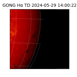 gong - 2024-05-29T14:00:22