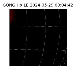 gong - 2024-05-29T00:04:42