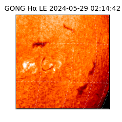 gong - 2024-05-29T02:14:42