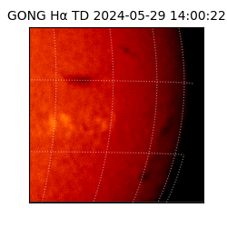 gong - 2024-05-29T14:00:22