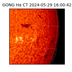 gong - 2024-05-29T16:00:42