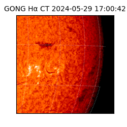 gong - 2024-05-29T17:00:42