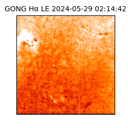 gong - 2024-05-29T02:14:42