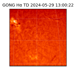 gong - 2024-05-29T13:00:22