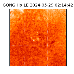 gong - 2024-05-29T02:14:42