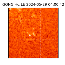 gong - 2024-05-29T04:00:42