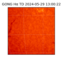 gong - 2024-05-29T13:00:22