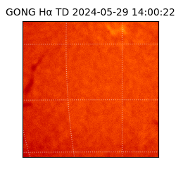 gong - 2024-05-29T14:00:22
