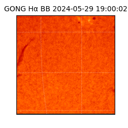 gong - 2024-05-29T19:00:02