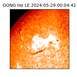 gong - 2024-05-29T00:04:42