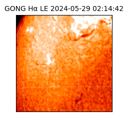 gong - 2024-05-29T02:14:42