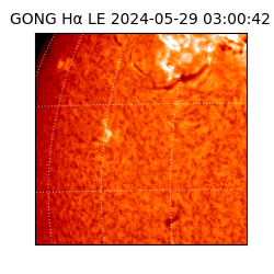 gong - 2024-05-29T03:00:42