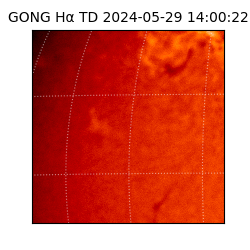 gong - 2024-05-29T14:00:22