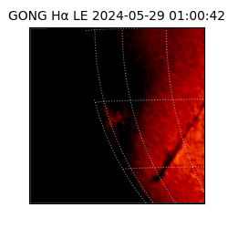 gong - 2024-05-29T01:00:42
