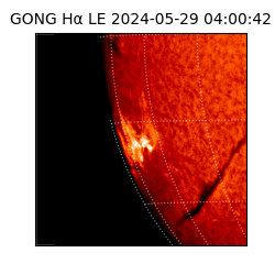 gong - 2024-05-29T04:00:42