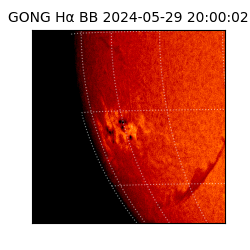 gong - 2024-05-29T20:00:02