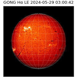 gong - 2024-05-29T03:00:42