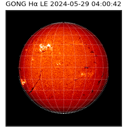 gong - 2024-05-29T04:00:42