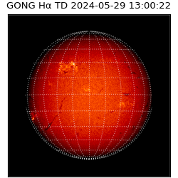 gong - 2024-05-29T13:00:22