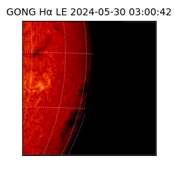 gong - 2024-05-30T03:00:42