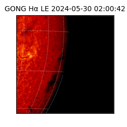 gong - 2024-05-30T02:00:42