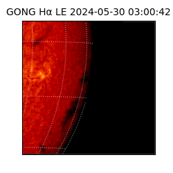 gong - 2024-05-30T03:00:42