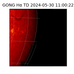 gong - 2024-05-30T11:00:22