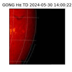 gong - 2024-05-30T14:00:22