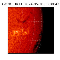 gong - 2024-05-30T03:00:42