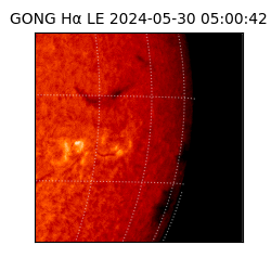 gong - 2024-05-30T05:00:42