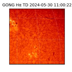 gong - 2024-05-30T11:00:22