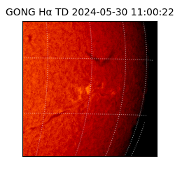 gong - 2024-05-30T11:00:22