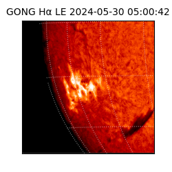 gong - 2024-05-30T05:00:42