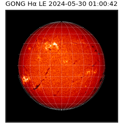 gong - 2024-05-30T01:00:42