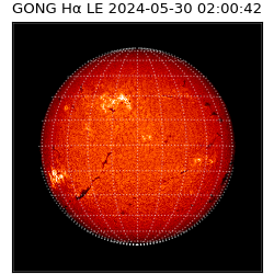 gong - 2024-05-30T02:00:42