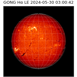 gong - 2024-05-30T03:00:42