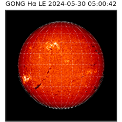 gong - 2024-05-30T05:00:42