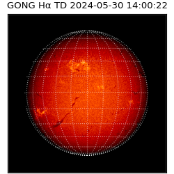 gong - 2024-05-30T14:00:22