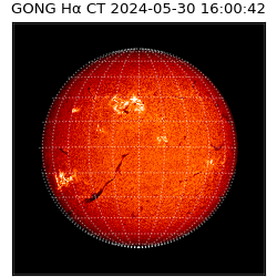 gong - 2024-05-30T16:00:42