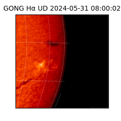 gong - 2024-05-31T08:00:02