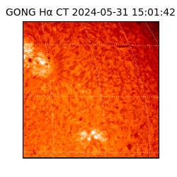 gong - 2024-05-31T15:01:42