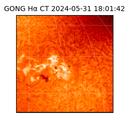 gong - 2024-05-31T18:01:42