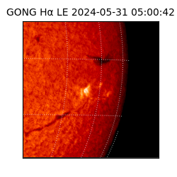 gong - 2024-05-31T05:00:42