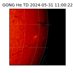 gong - 2024-05-31T11:00:22