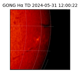 gong - 2024-05-31T12:00:22